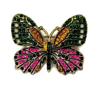 Multi Colored Butterfly Brooch